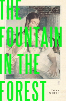 Paperback The Fountain in the Forest Book