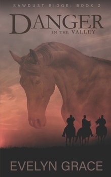 Paperback Danger in the Valley (Sawdust Ridge) Book