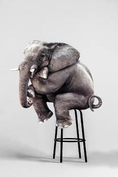 Elephant Notebook: Blank Lined Journal, Softcover (6x9 inches) with 120 Pages