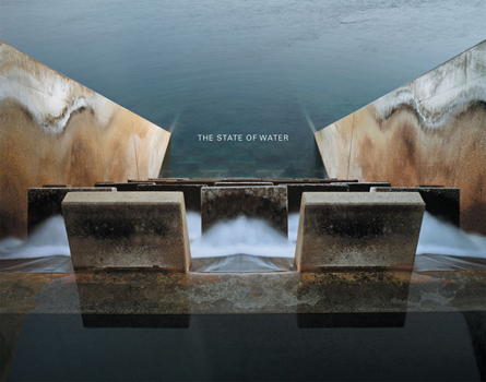 Hardcover Brad Temkin: The State of Water Book