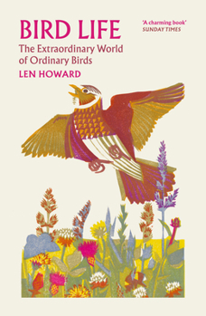 Paperback Bird Life: The Extraordinary World of Ordinary Birds Book