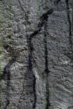 Happy Birthday Book: Happy Birthday Gifts Lined Journal Notebook  (75)  | Journal For Women, Friend Coworker  Birthday Gifts | Funny Gag Gift | Funny ... | 21 Birthday Gag Gifts For Best Friend)