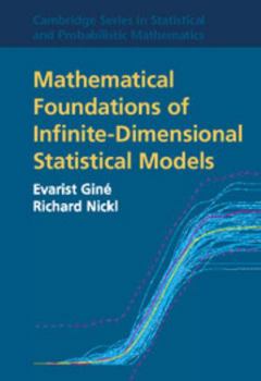 Hardcover Mathematical Foundations of Infinite-Dimensional Statistical Models Book