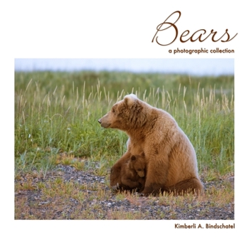 Paperback Bears: A Photographic Collection Book
