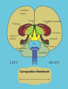 Paperback Composition Notebook: Human Brain Labeled Diagram Book