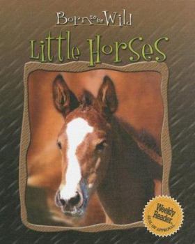 Library Binding Little Horses Book