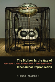 Paperback The Mother in the Age of Mechanical Reproduction: Psychoanalysis, Photography, Deconstruction Book