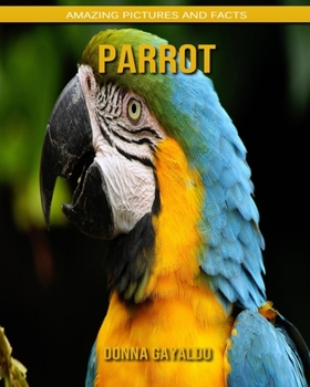 Parrot: Amazing Pictures and Facts