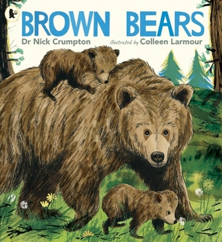 Paperback Walker Books Ltd Brown Bears. Book