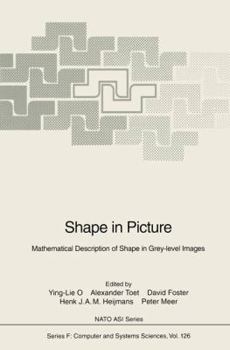 Paperback Shape in Picture: Mathematical Description of Shape in Grey-Level Images Book
