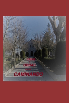 Paperback Caminando entre obras y crisis [Spanish] Book