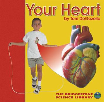 Hardcover Your Heart Book
