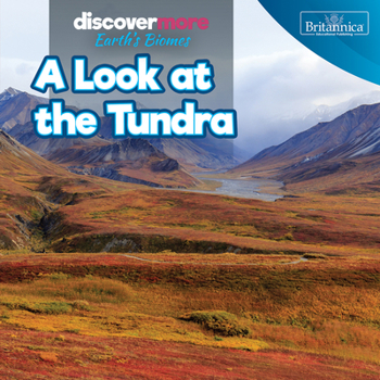 Look at the Tundra