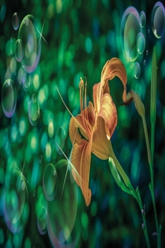 Paperback Lilly with bubbles: Notebook graph paper 120 pages 6x9 perfect as math book, sketchbook, workbook and diary with magical lilly Book