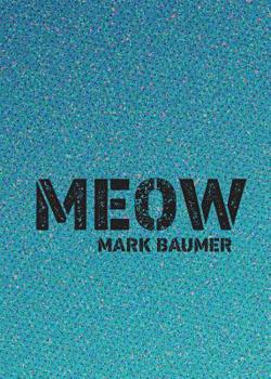Paperback Meow Book