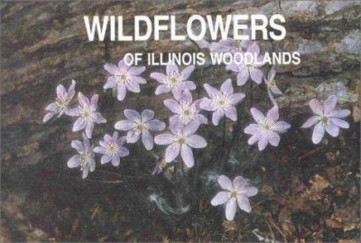 Paperback Wildflowers Illinois Woodlands-94 Book