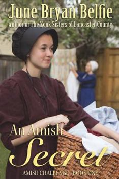 An Amish Secret - Book #1 of the Amish Challenge