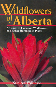 Paperback Wildflowers of Alberta: A Guide to Common Wildflowers and Other Herbaceous Plants Book