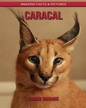 Caracal: Amazing Facts & Pictures