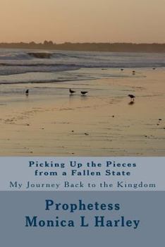 Paperback Picking Up the Pieces from A Fallen State: My Journey Back to the Kingdom Book