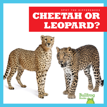 Paperback Cheetah or Leopard? Book