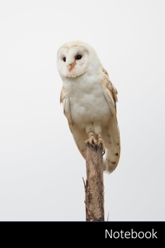 Paperback Notebook: 鳥、動物、フクロウ、メンフクӤ Book