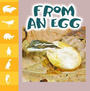 Paperback From an Egg Book