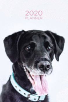 2020 Planner: Increase productivity, improve time management, reach your goals: Sweet black Labrador Retriever: Modern artistic photography style cover