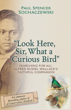 Paperback "Look Here, Sir, What a Curious Bird": Searching for Ali, Alfred Russel Wallace's Faithful Companion Book