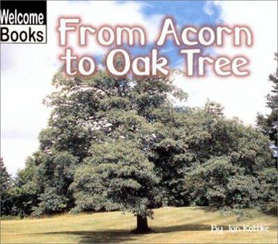 From Acorn to Oak Tree (Welcome Books) - Book  of the Welcome Books: How Things Grow