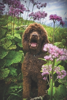 Paperback Happy Brown Standard Poodle Journal: 150 Page Lined Notebook/Diary Book