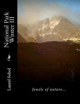 National Park Winter III