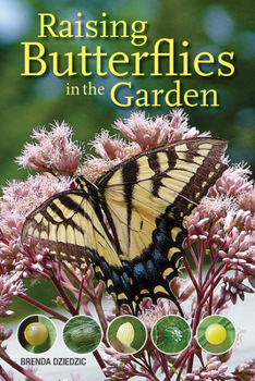 Paperback Raising Butterflies in the Garden Book