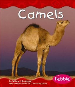 Hardcover Camels Book