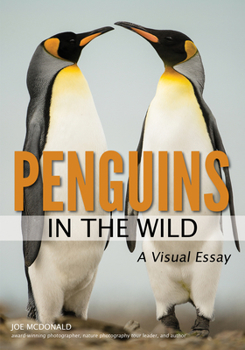 Paperback Penguins in the Wild Book