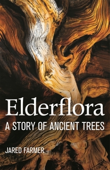 Paperback ELDERFLORA Book