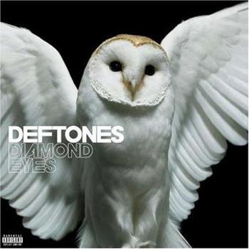 Vinyl Diamond Eyes Book