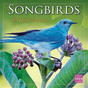 Office Product Songbirds of North America Book