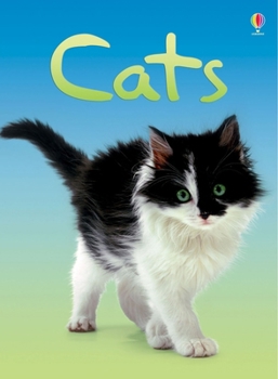 Cats (Usborne Beginners, Level 1) - Book  of the Usborne Beginners