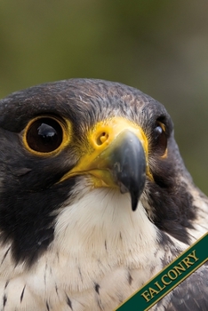 Falconry: Peregrine falcon. Format A5, 120 pages, fine light grey lined. Daily entries, notes and journal for the falconer, the falconer, nature and bird friends.