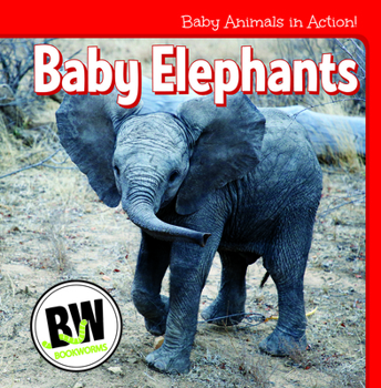 Paperback Baby Elephants Book