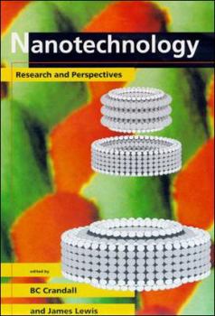 Hardcover Nanotechnology: Research and Perspectives Book