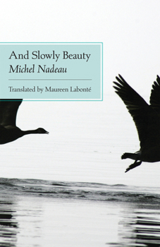 Paperback And Slowly Beauty Book