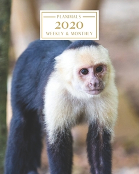 Paperback 2020: Weekly and Monthly Planner/Calendar Jan 2020 - Dec 2020 Cute Monkey Book