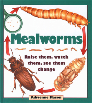 Hardcover Mealworms: Raise Them, Watch Them, See Them Change Book