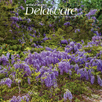 Delaware Wild & Scenic 2022 12 x 12 Inch Monthly Square Wall Calendar, USA United States of America Southeast State Nature