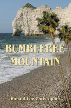 Paperback Bumblebee Mountain Book