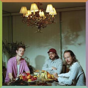 Vinyl Male Models   Transparent Dark Blue Book