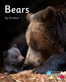 Paperback Bears Book