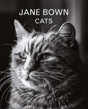 Hardcover Jane Bown: Cats Book